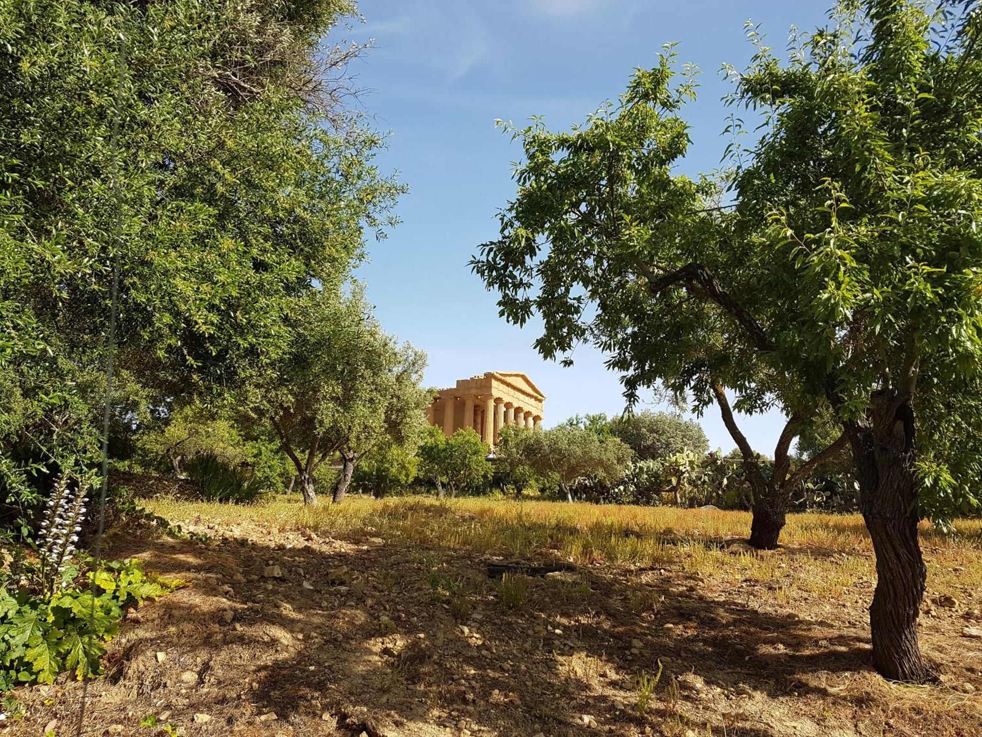 Lala Salama San Leone Buitenkant foto
